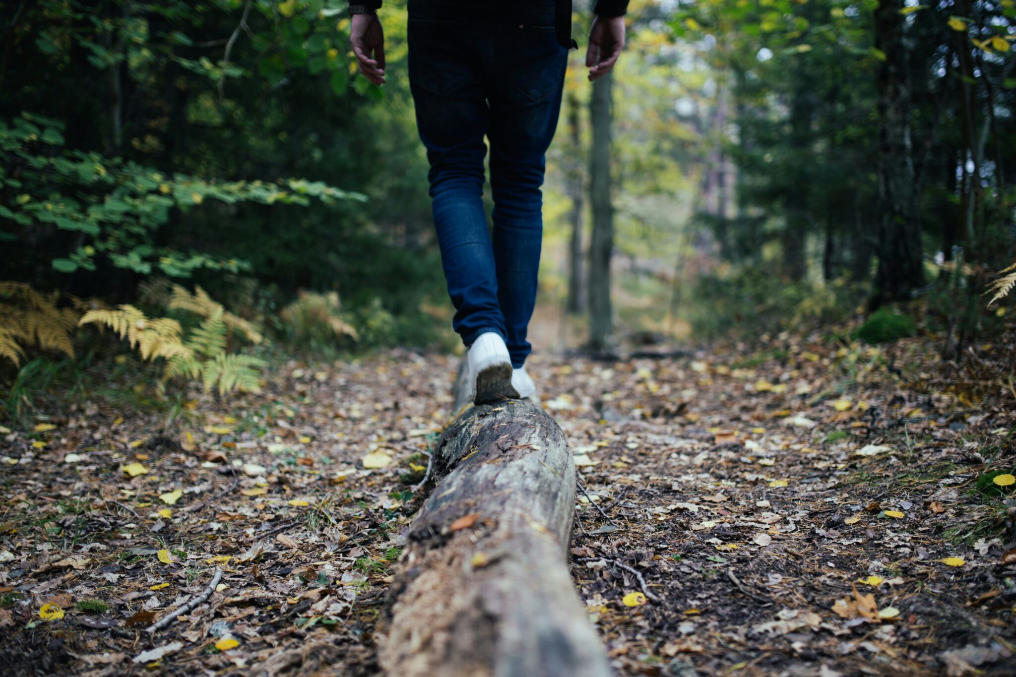 Man walking on a log in the forest